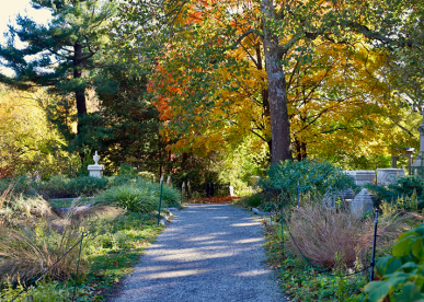 Mount Auburn Cemetery Fall Foliage Tour