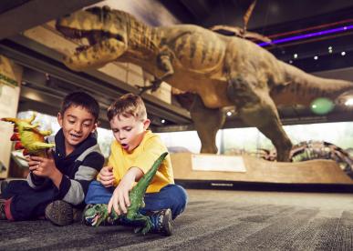 Free Museum of Science Family Day