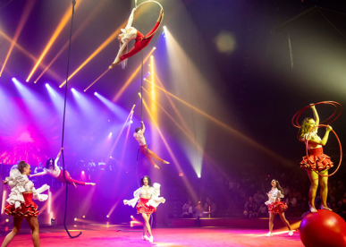 Big Apple Circus