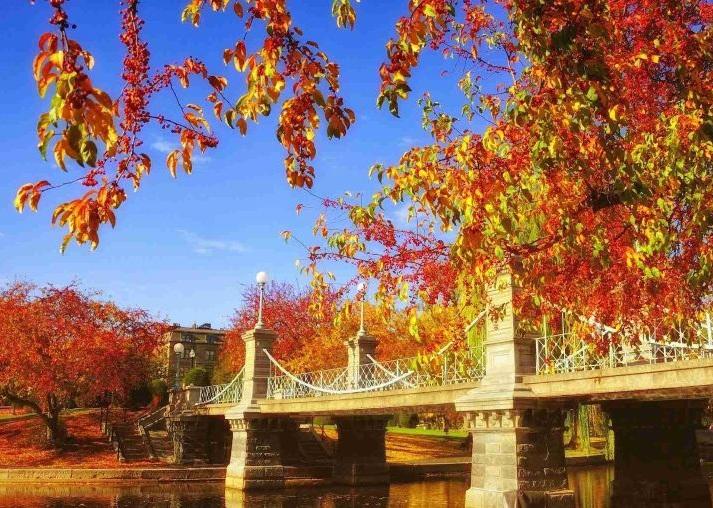 Charles River Fall Foliage Cruise
